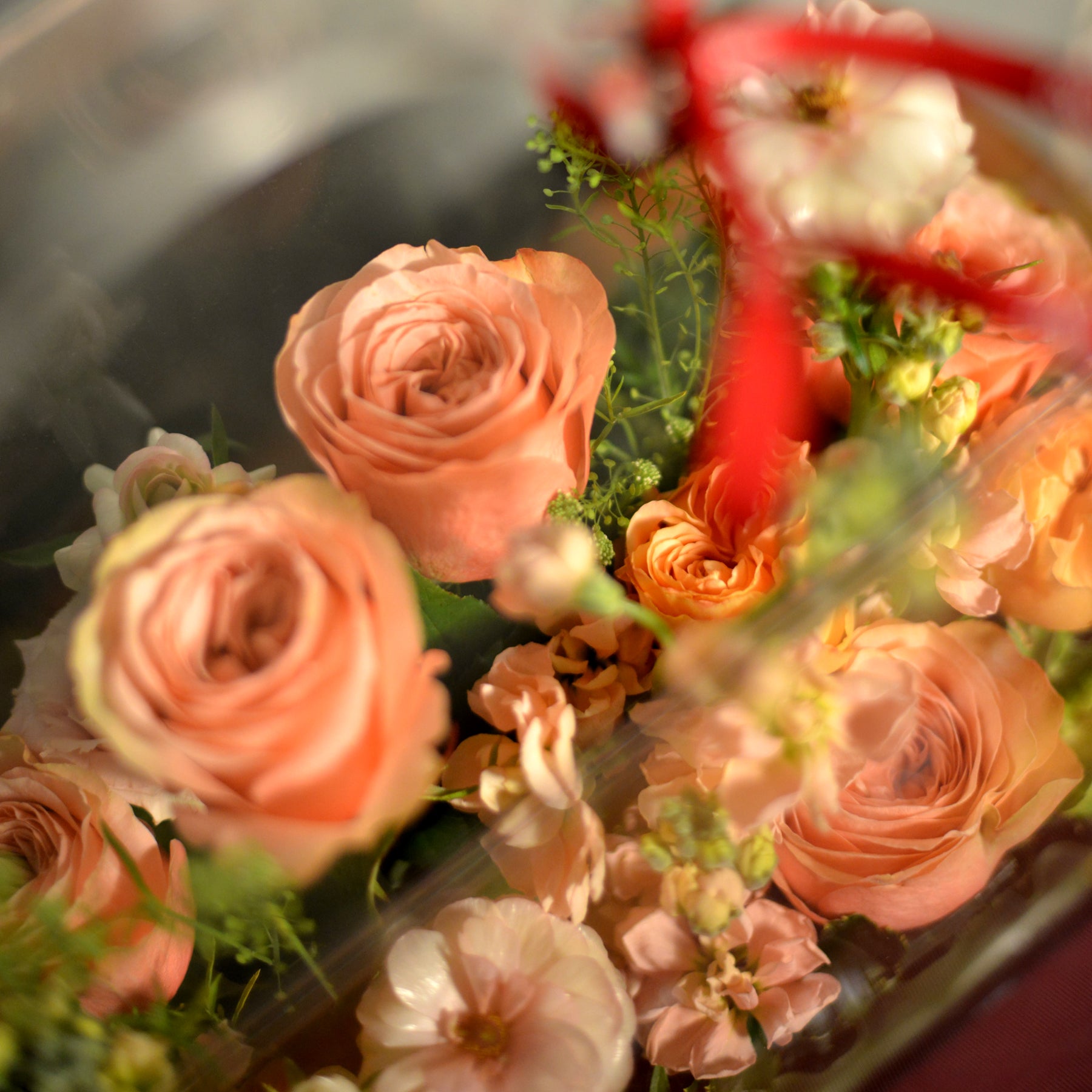 OVO GARDEN - 真愛寶盒 (香檳色) 花盒