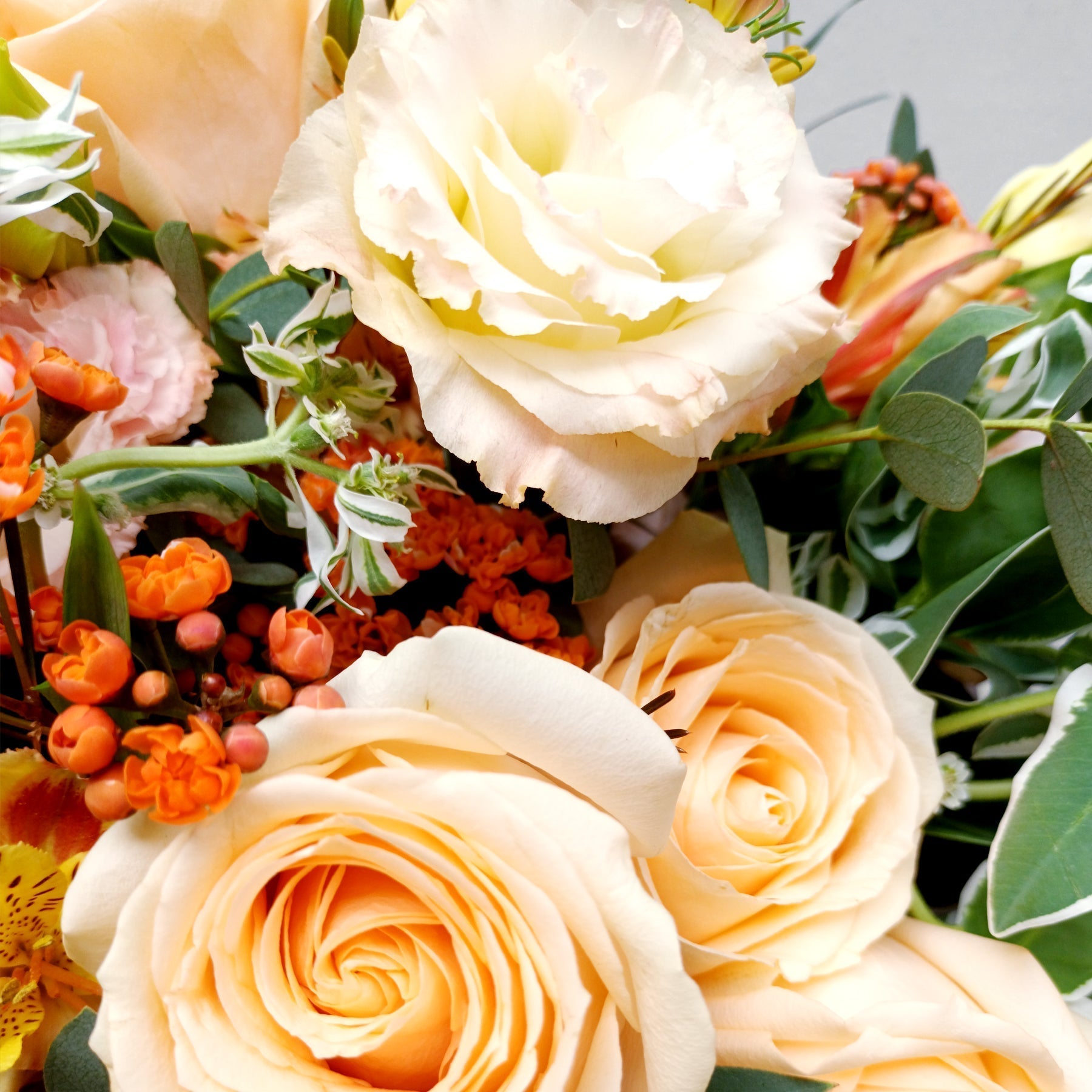 【Corporate Aesthetics】More Than a Gift: The "Living Spirit" of Your Brand | OVO GARDEN Thanksgiving Season Custom Proposal