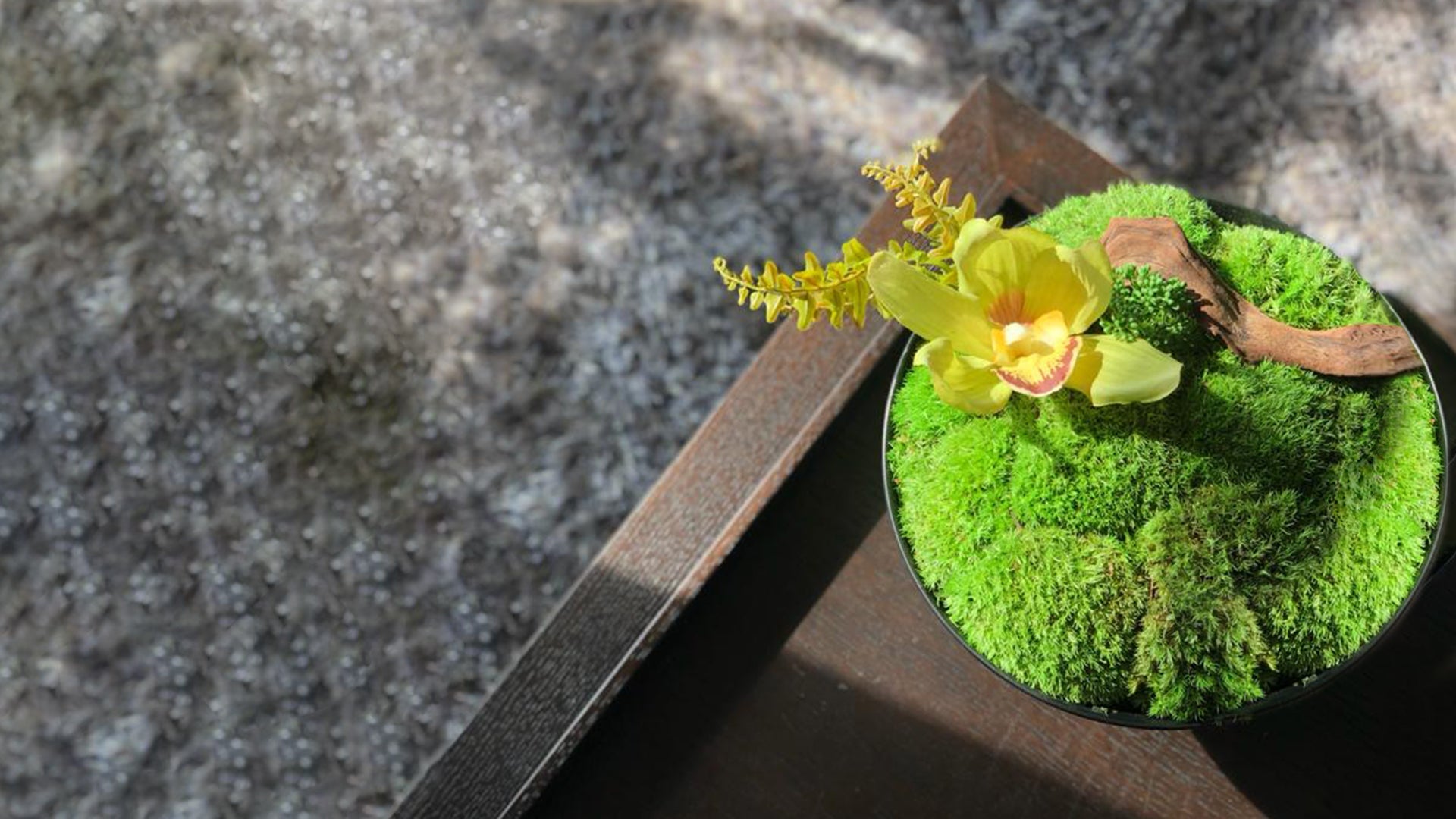 Artificial Plants