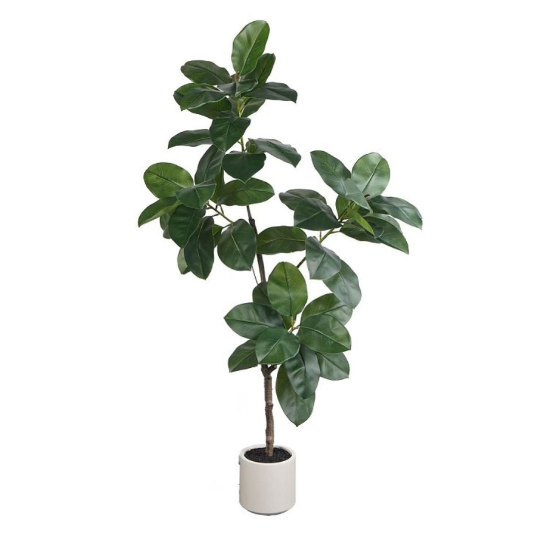 Artificial Banyan Fig  仿真高山榕 ｜OVO