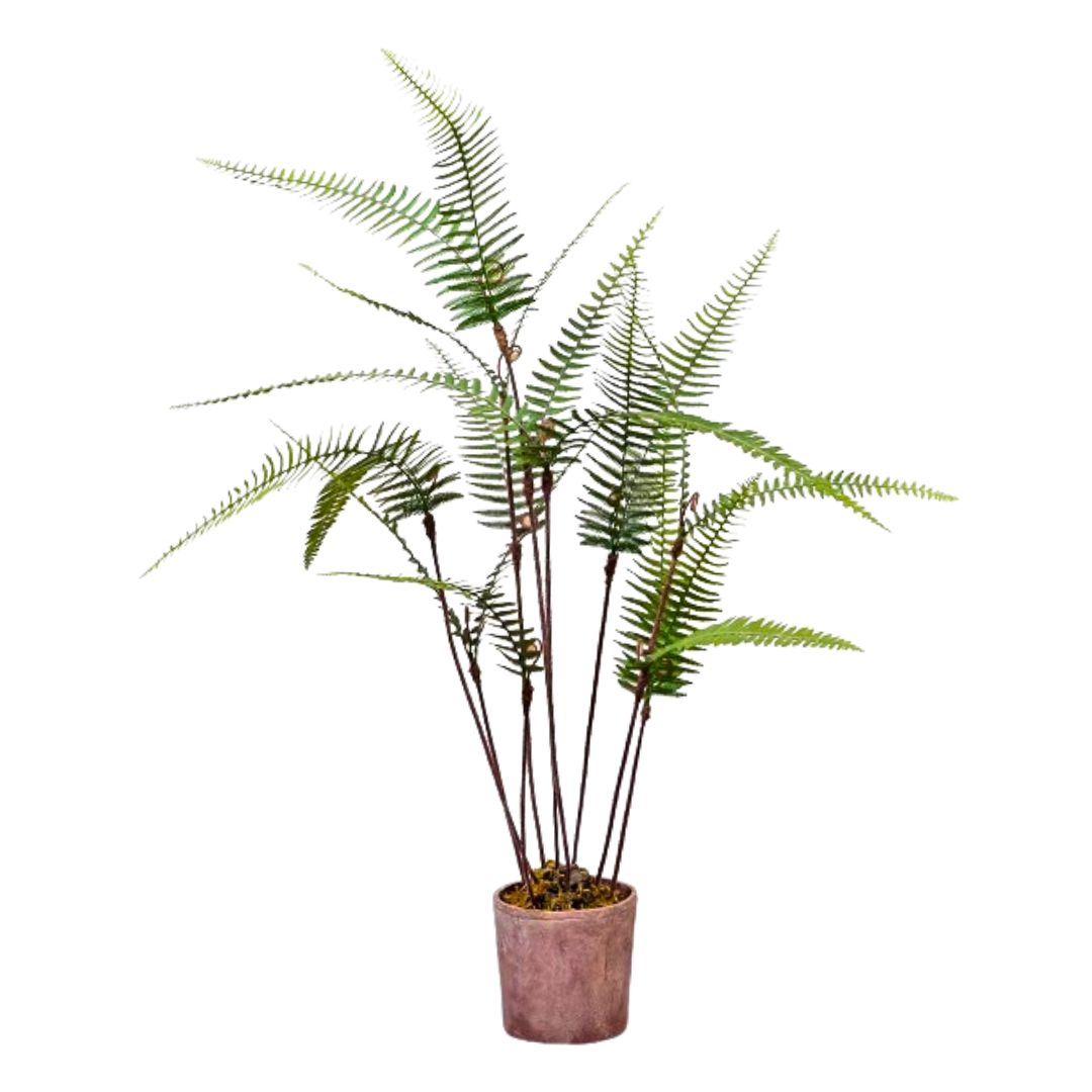 Artificial Fern Foliage 仿真蕨葉 | OVO GARDEN