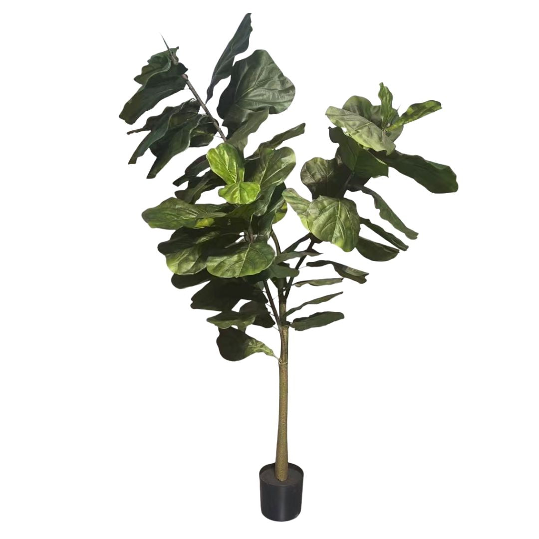 Artificial Fiddle Leaf Fig 仿真琴葉榕 ｜OVO GARDEN
