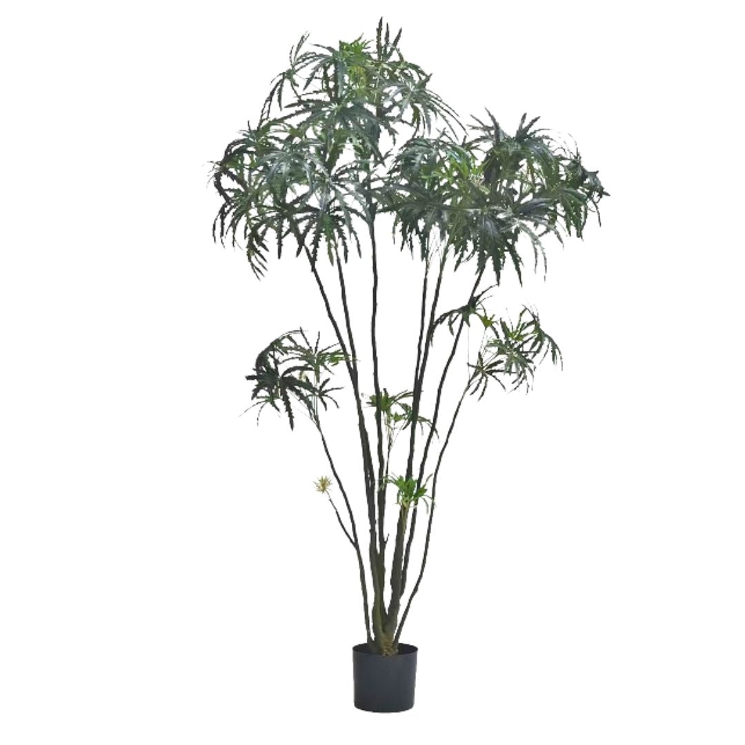 Artificial Ming Aralia 仿真孔雀木 | OVO GARDEN