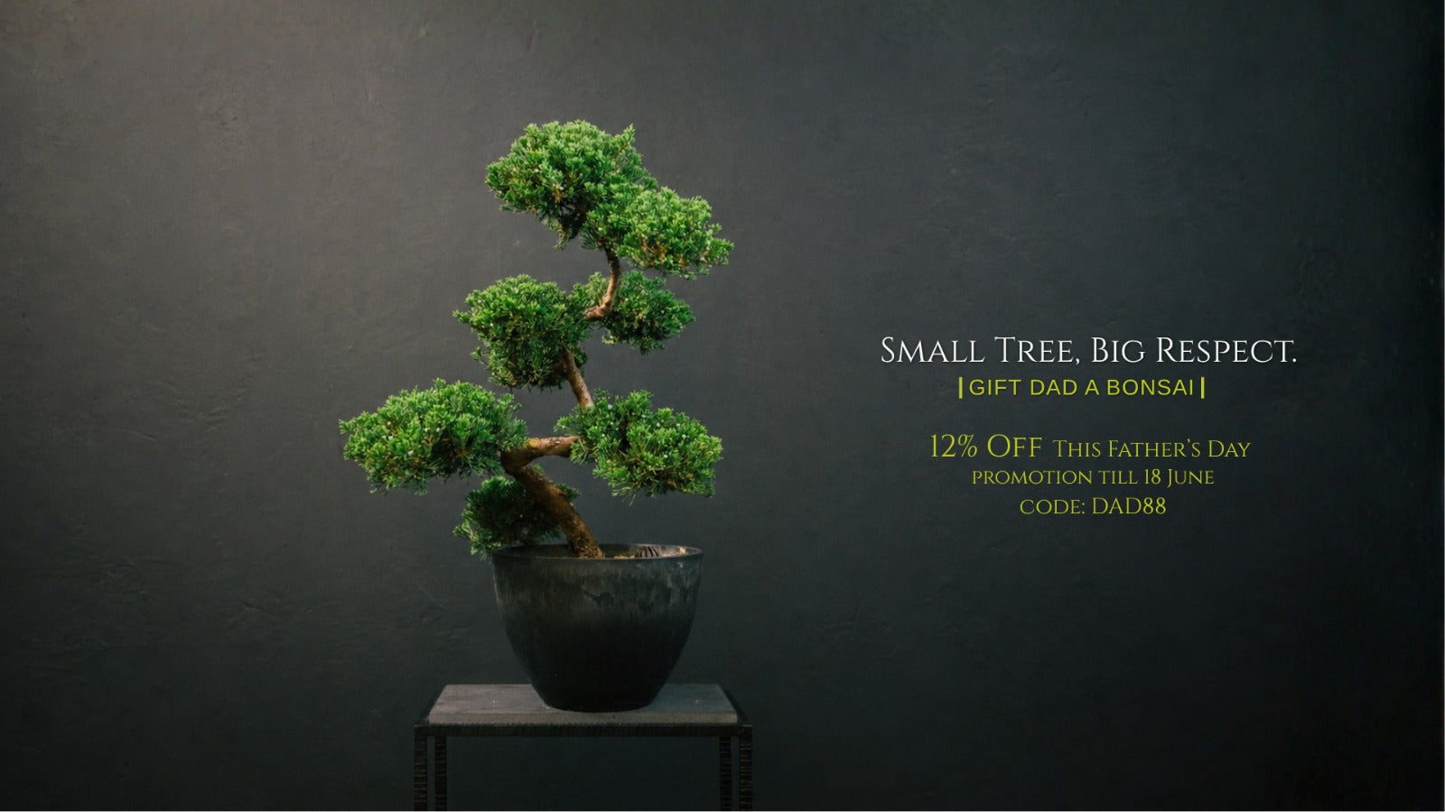 Bonsai - Father's Day Promotion | OVO