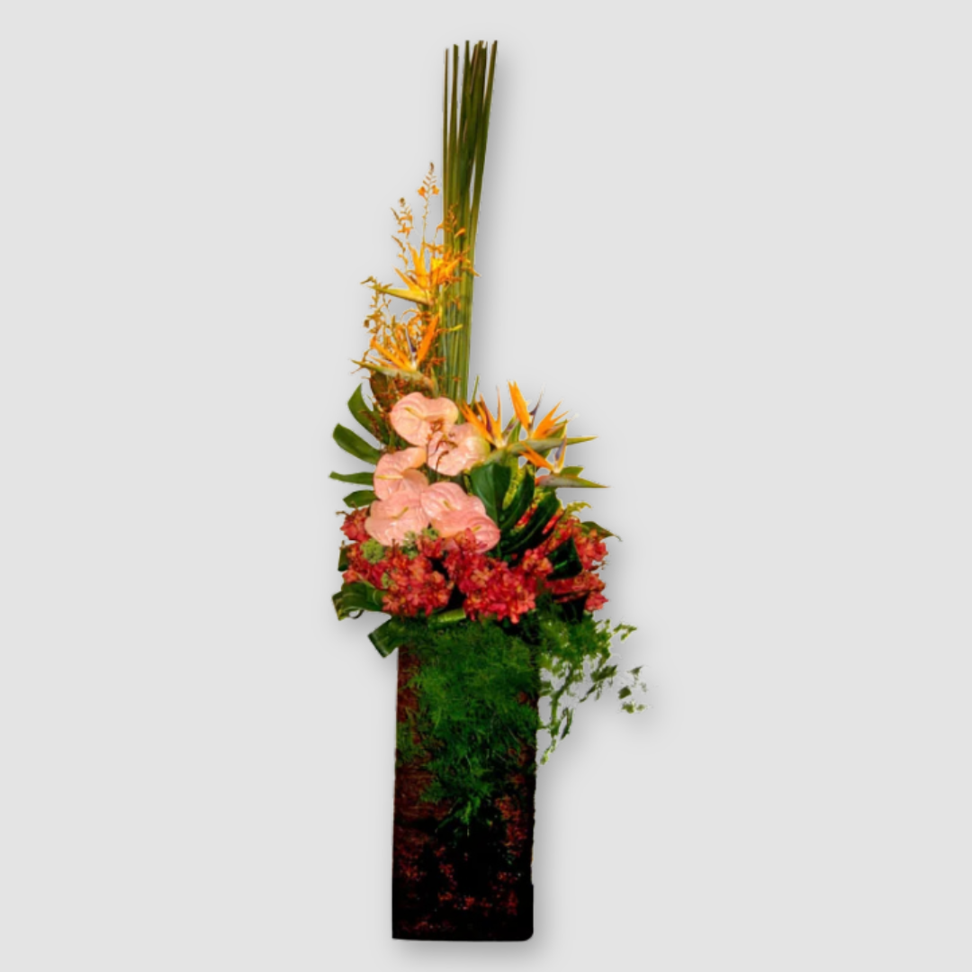 OVO GARDEN - Grand Opening Stand #11: Soaring Glory