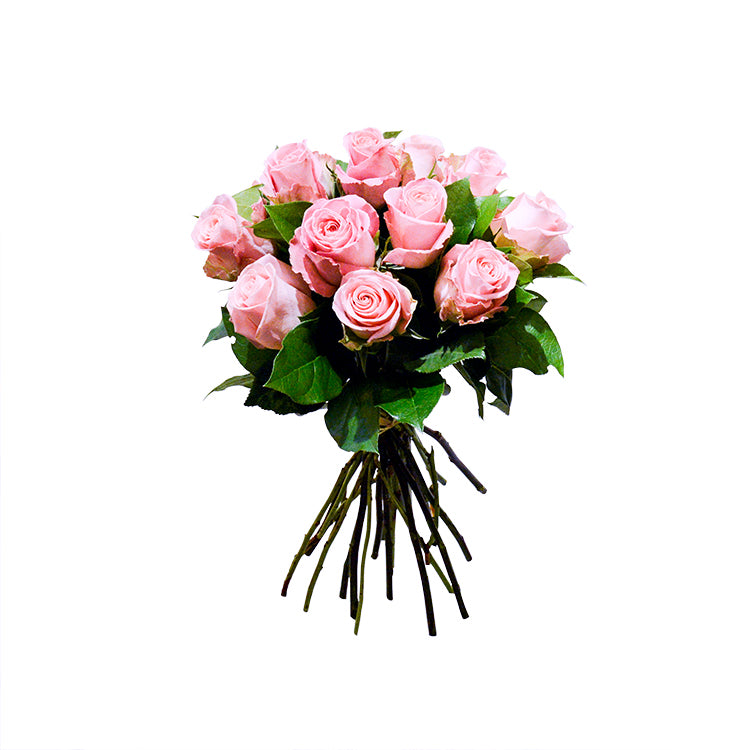 OVO GARDEN - Pink Roses (12 Stems): An Ode to Gentle Affection