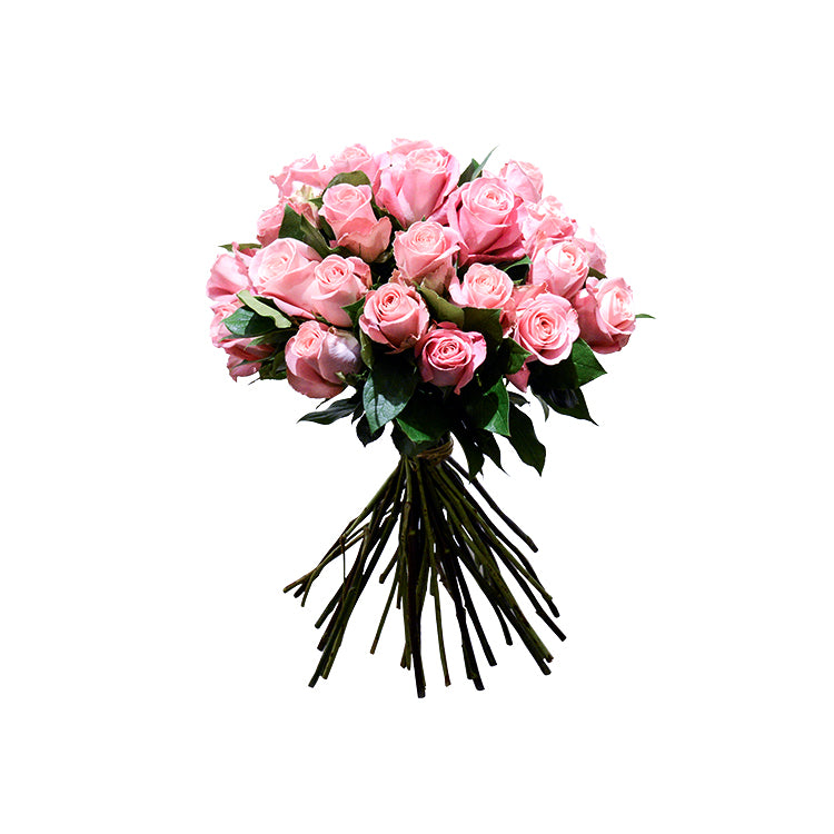 OVO GARDEN - Pink Roses (24 Stems): Heart's Sweet Secret