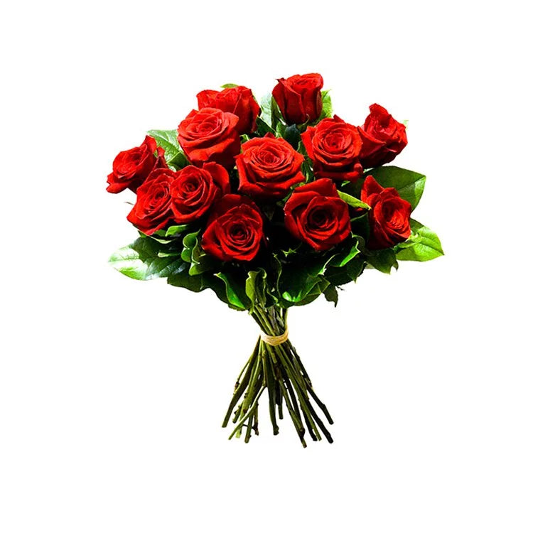 OVO GARDEN - Red Roses Bouquet (12 Stems)