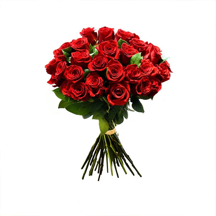 OVO GARDEN - Red Roses Bouquet (36 Stems)