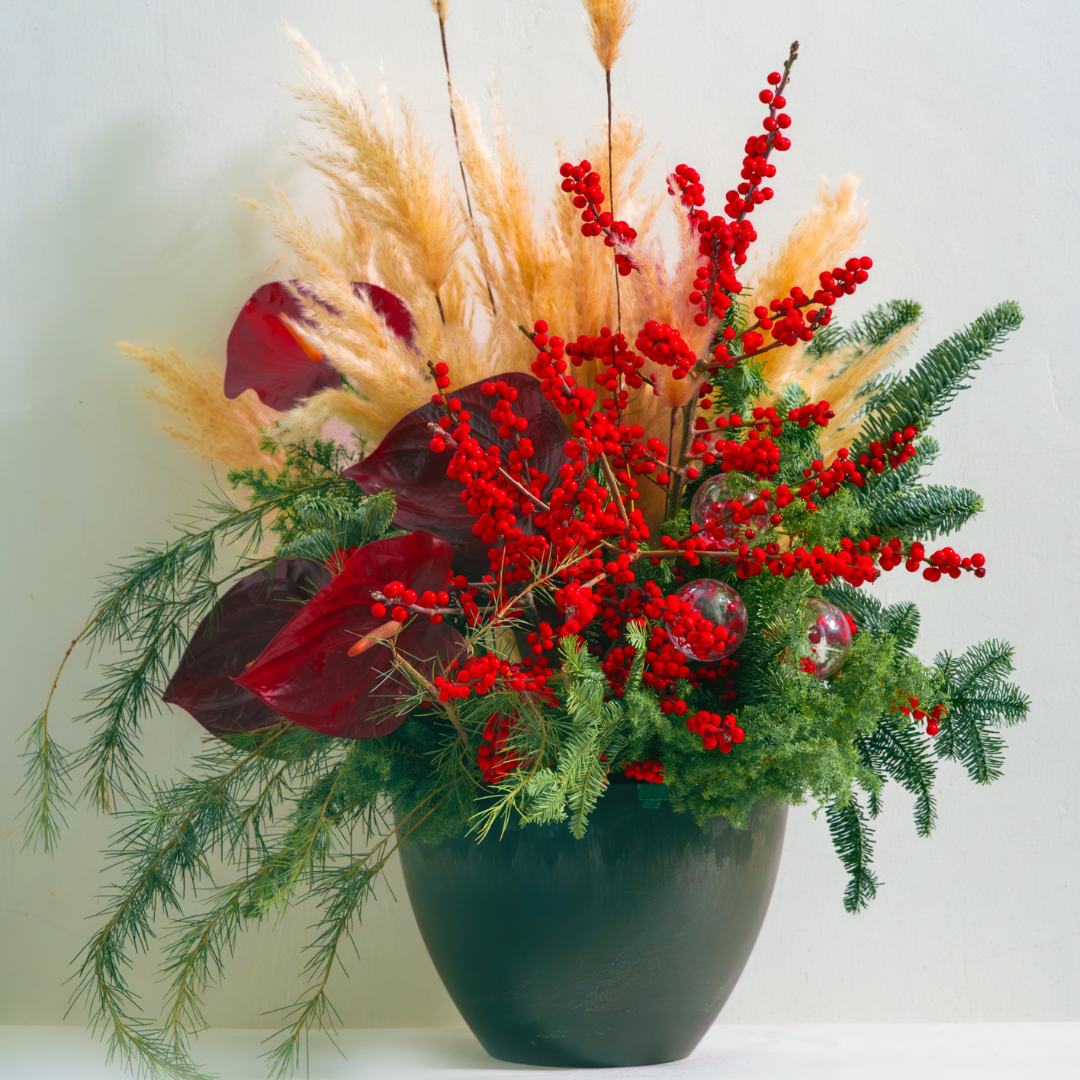 OVOGarden_星光常綠 Starlight Evergreen_Xmasdecoration_XmasGift_FloralArrangement