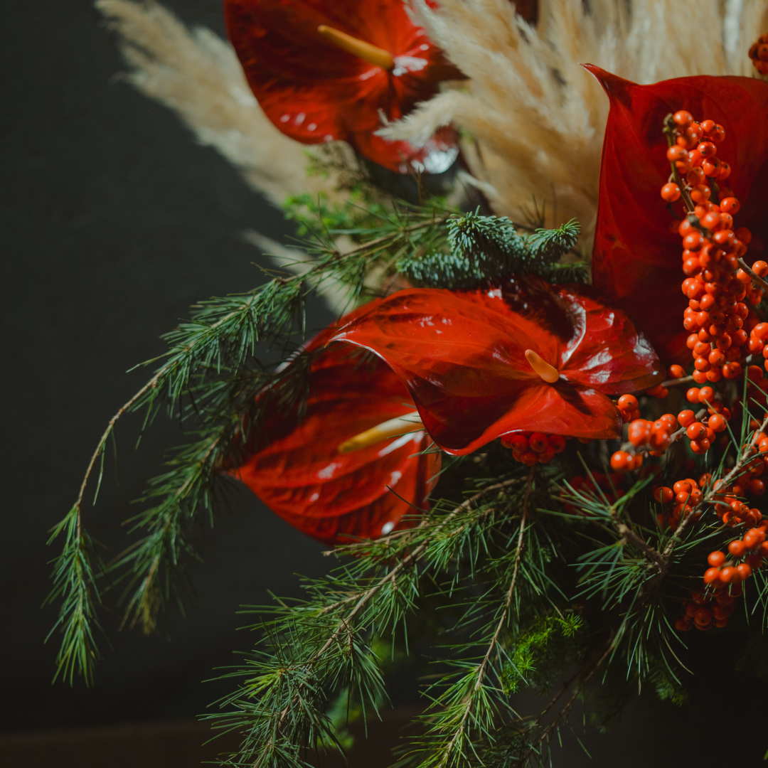 OVOGarden_星光常綠 Starlight Evergreen_Xmasdecoration_XmasGift_FloralArrangement