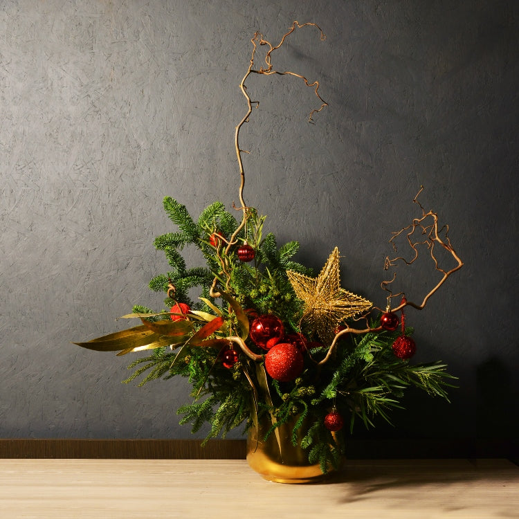 Seasonal Splendor | Christmas Decoration | OVO Garden – OVOGarden