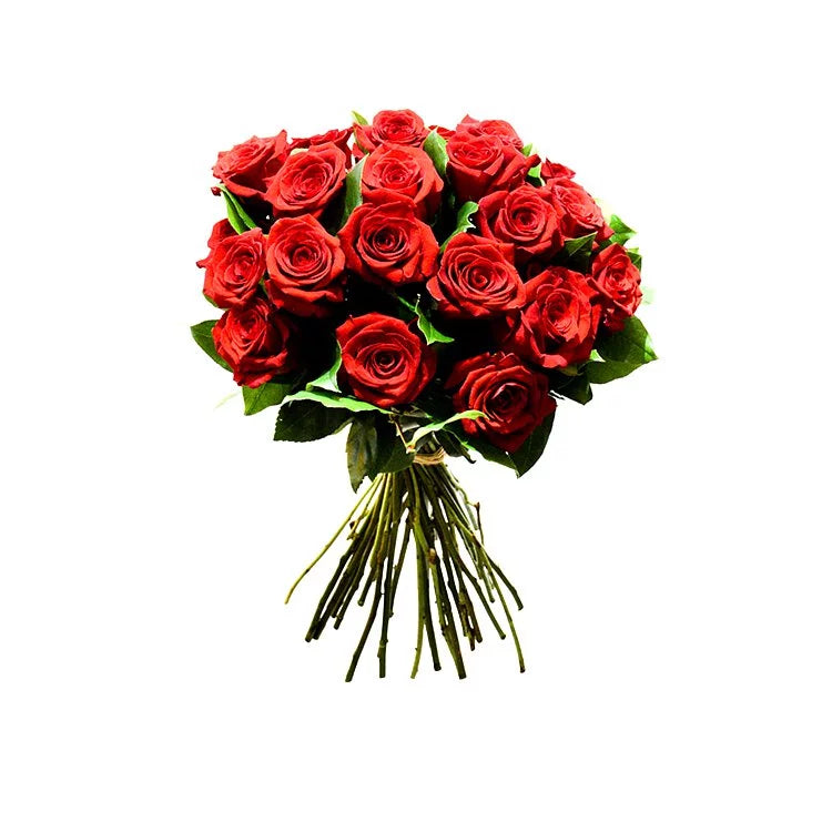 OVO GARDEN - Red Roses Bouquet (24 Stems): A Symphony of Deep Affection