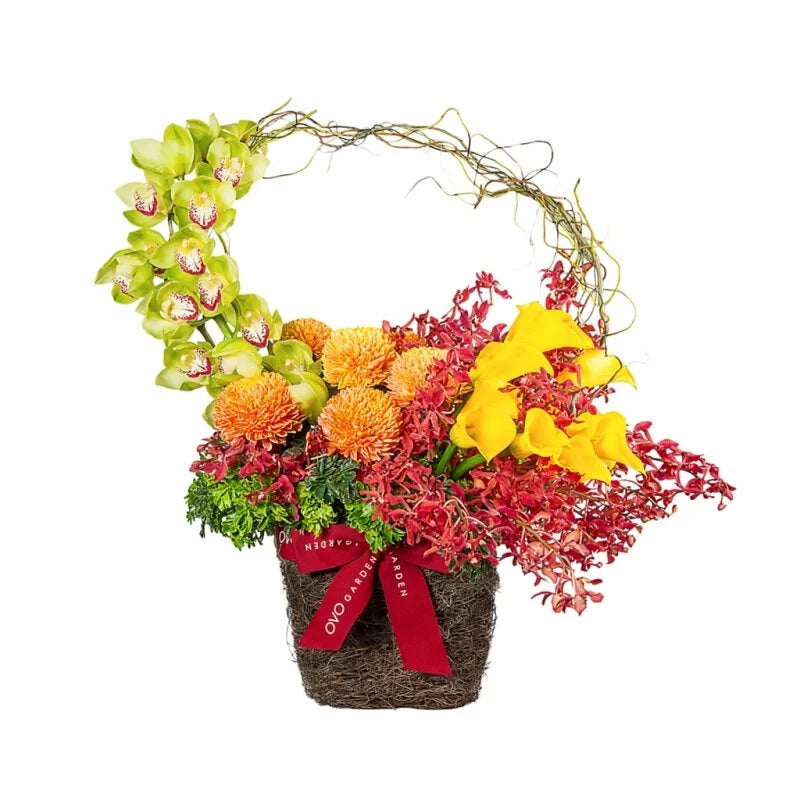 OVO GARDEN - Cheerful Spirit Orchid and Lily Basket