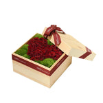 OVO GARDEN - 玫瑰 花盒