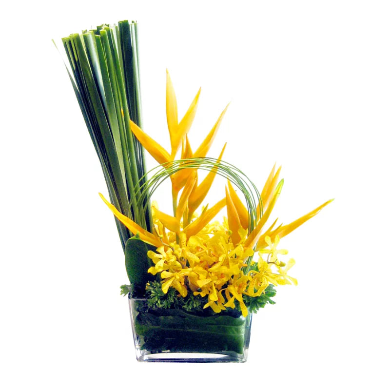 OVO GARDEN - Parrot Heliconia in Vase