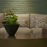 Green Haven | OVO GARDEN