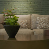 Green Haven | OVO GARDEN