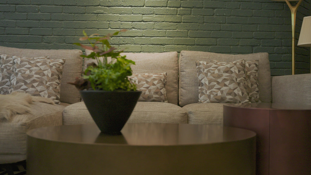 Green Haven | OVO GARDEN