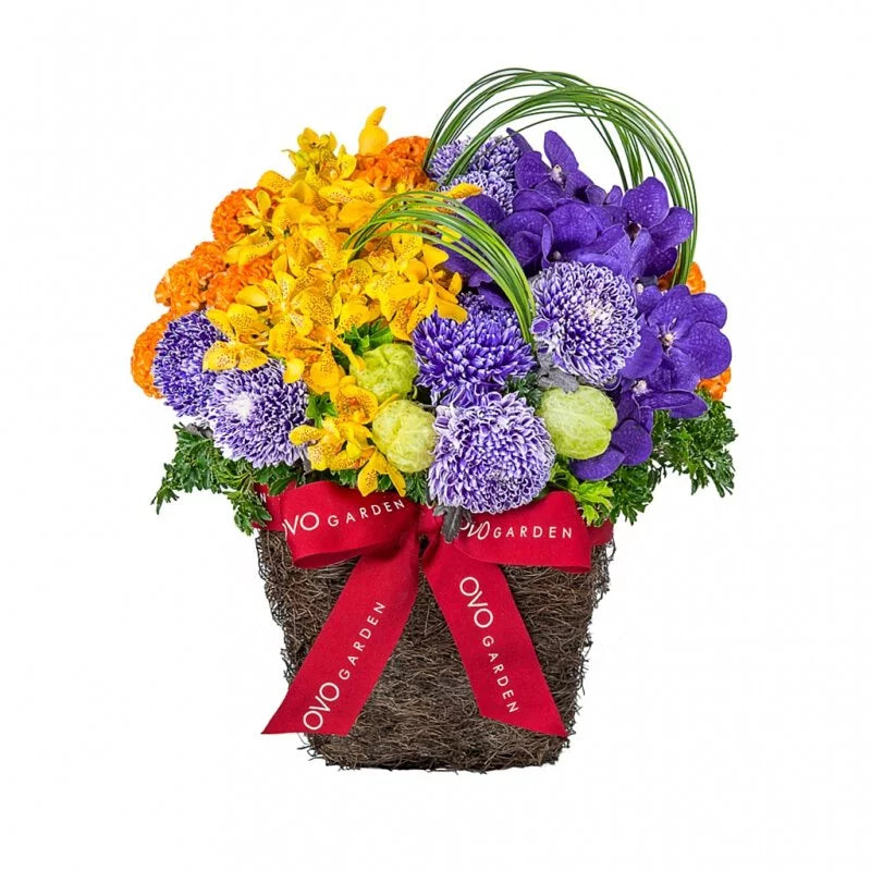 OVO GARDEN - Sunshine Girl Flower Basket